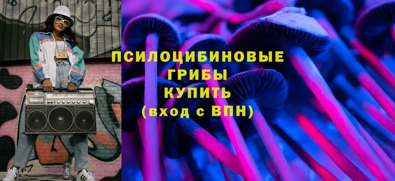 Галлюциногенные грибы MAGIC MUSHROOMS  Змеиногорск 